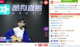 k91g直播间放的音乐,旋律与情感的交织之旅