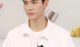 娱乐圈吃瓜群龚俊是谁,娱乐圈吃瓜群中的璀璨明星